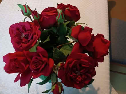 Photo of free Silk roses and vase (Chorlton M21) #1