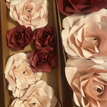 Photo of free Paper Flower set (Neelsville) #2