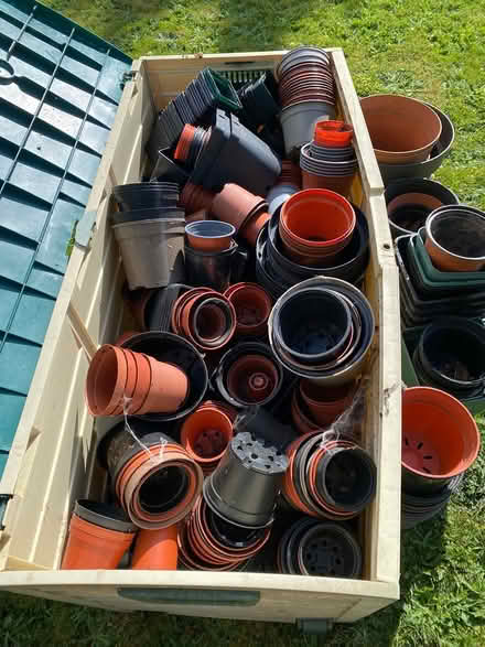 Photo of free Plant pots (Wareham BH20) #2