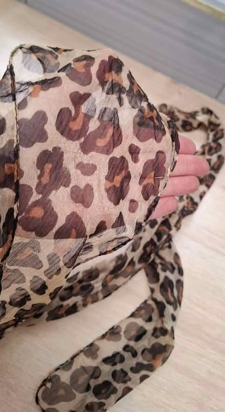 Photo of free Leopard print chiffon scarf (Boughton Monchelsea ME17) #2