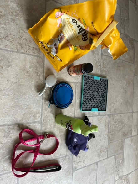 Photo of free Job lot of puppy stuff (Woodley RG5) #1