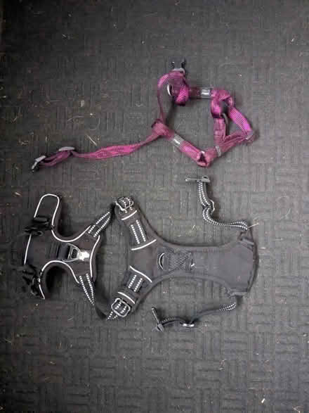 Photo of free Two dog harnesses (Syston LE7) #1