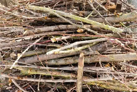 Photo of Branches (Great Boughton CH3) #1