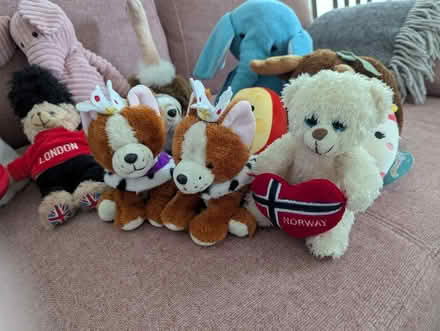 Photo of free Random stuffed animals (Petersfield Ward CB1) #2