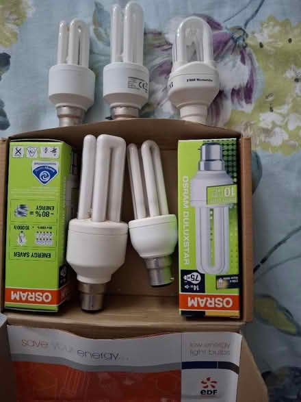 Photo of free Light bulbs (Hampton Hill TW12) #2