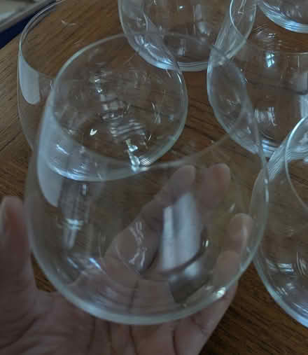 Photo of free Riedel Red Wine Glasses (North City part of Shoreline) #1