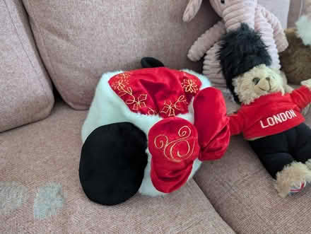 Photo of free Random stuffed animals (Petersfield Ward CB1) #1