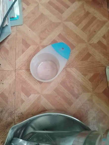 Photo of free Measuring cup (Yalding ME18) #1