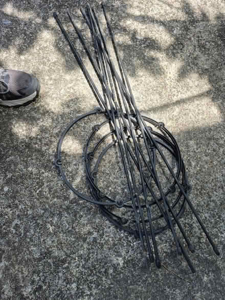 Photo of free Tomato cage (20817) #1