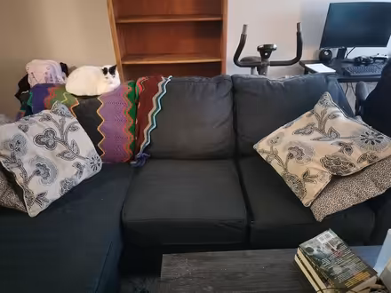 Photo of free Sectional couch (Clark Rd opp. Trinity Health) #1