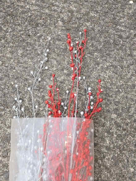 Photo of free Decorative items (Ightfield SY13) #2