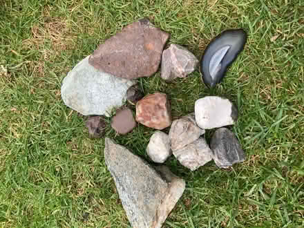 Photo of free Fossils/Rocks (Letchworth wilbury) #2