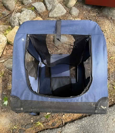 Photo of free Small Dog Collapsible Crate (South on Woburn past South El.) #3