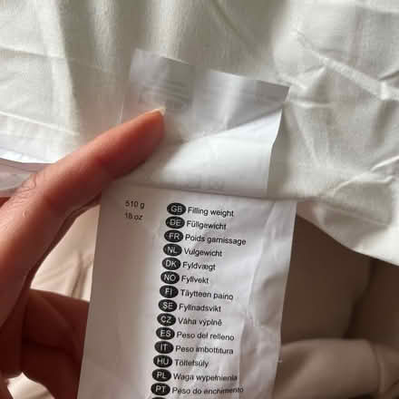 Photo of free IKEA cushion 50x60cm (Angel N1) #3