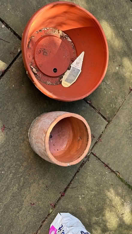 Photo of free Garden stuff (North Cambridge) #1