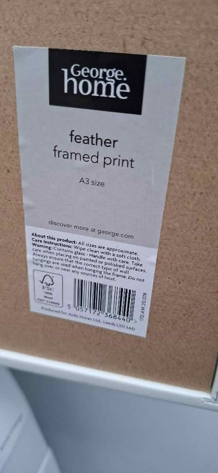 Photo of free Silver framed feather print (Boughton Monchelsea ME17) #3