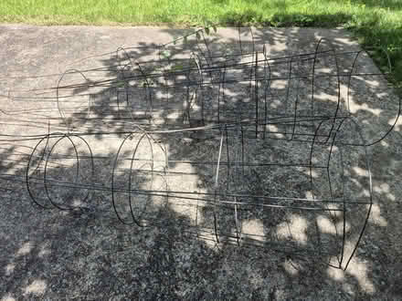 Photo of free Metal tomato cages (20817) #2