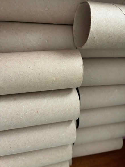 Photo of free Over 2 doz t. paper tubes/rolls (Near Folger McKinsey school) #1