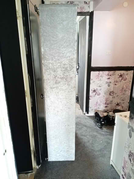 Photo of free Crushed velvet single bed (Ebor house YO15) #3