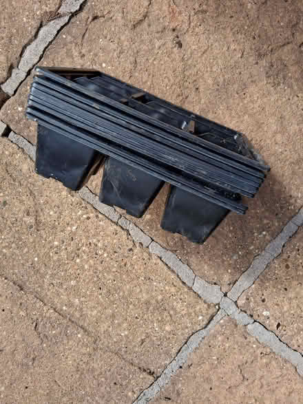 Photo of free Black Bedding Plant Cell Trays (Stonebridge BA11) #2