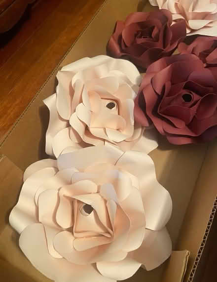 Photo of free Paper Flower set (Neelsville) #3