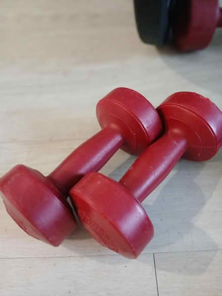 Photo of free Pair of 5lb dumbbells (Downtown Wilmington) #1