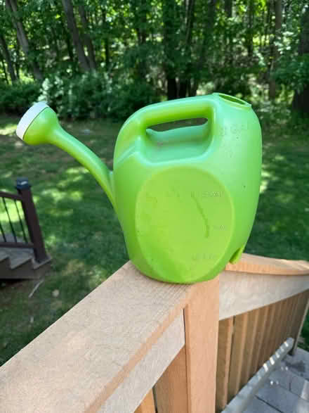 Photo of free plastic watering can (Somerset, NJ) #1