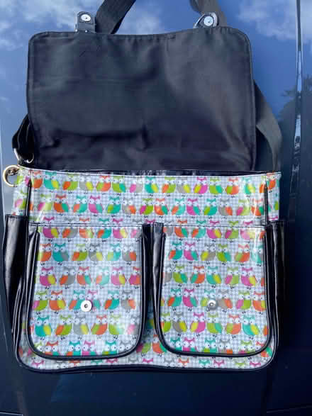 Photo of free Owl bag (Locks Heath SO31) #2