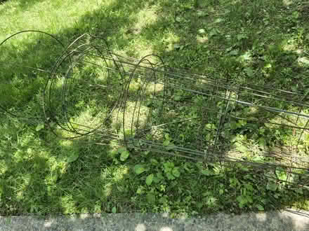 Photo of free Metal tomato cages (20817) #1