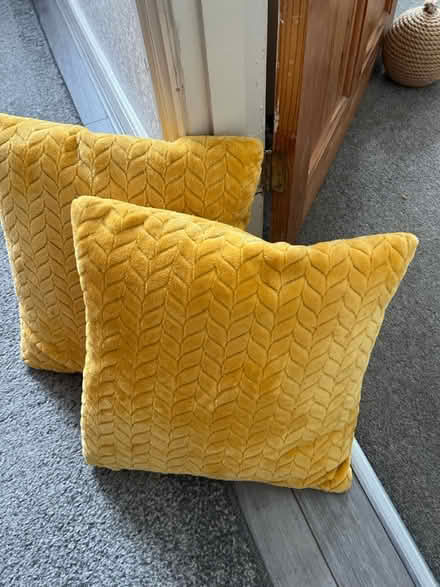 Photo of free Two yellow cushions (Bromley BR2) #1