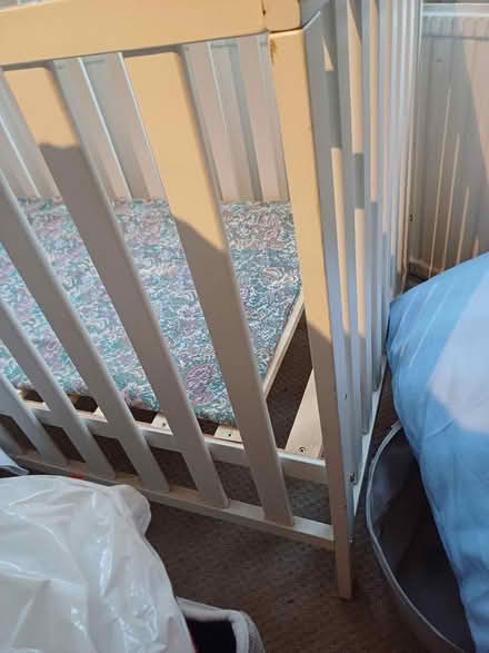 Photo of free Cot (Summertown OX2) #2