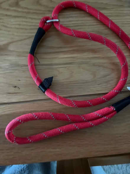 Photo of free Dog lead choker type (Eastcote HA4) #1