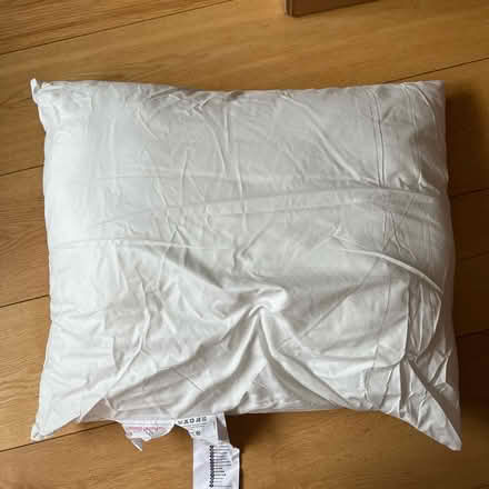 Photo of free IKEA cushion 50x60cm (Angel N1) #1