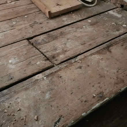 Photo of Reclaimed Pine Flooring Boards (Halton WA7) #1