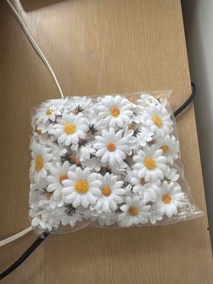Photo of free Bag of daisies (Sg6 3nb) #1
