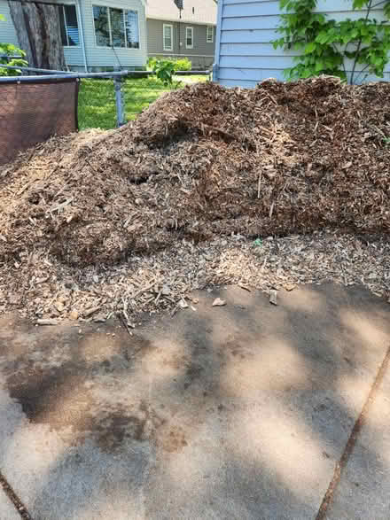 Photo of free Wood Chips/Mulch (NE Mpls) #1