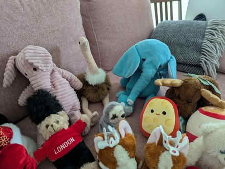 Photo of free Random stuffed animals (Petersfield Ward CB1) #4