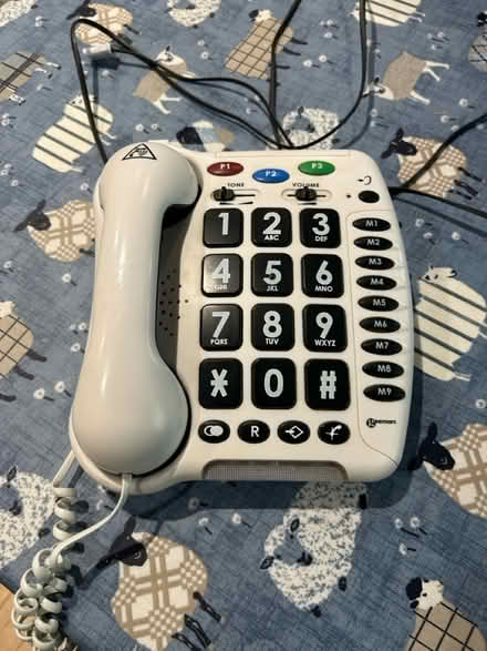 Photo of free Two large button telephone (DT4 0PR) #1
