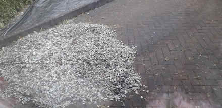 Photo of free shale slates for garden (Talke ST7) #1