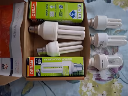 Photo of free Light bulbs (Hampton Hill TW12) #1