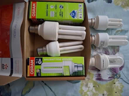 Photo of free Light bulbs (Hampton Hill TW12) #1