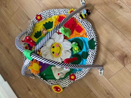 Photo of free Baby gym - with music & lights (Locks Heath SO31) #1