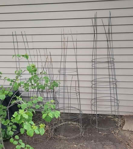 Photo of free Several tomato cages (Near Mississippi and Dayton) #1