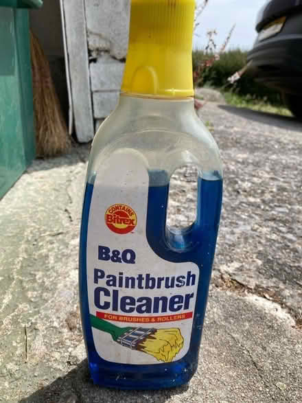 Photo of free Paintbrush Cleaner (PL21) #1