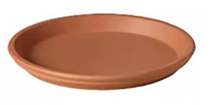 Photo of clay pot saucer 14-16-28” (San Antonio x El Camino) #1