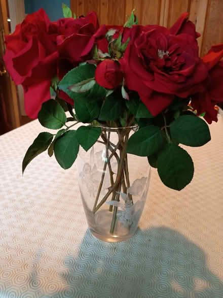 Photo of free Silk roses and vase (Chorlton M21) #2