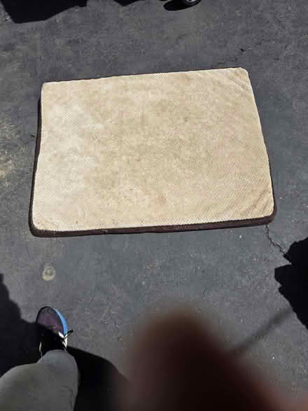 Photo of free Dog pillow (Randallstown) #1