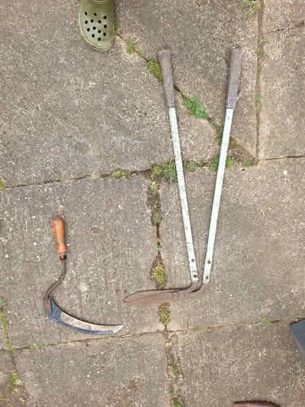 Photo of free Garden tools (Letchworth SG6) #2