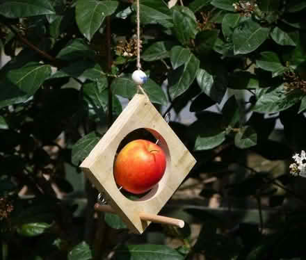 Photo of free Simple Apple Holder Bird Feeder - new (Top Amersham HP6) #3