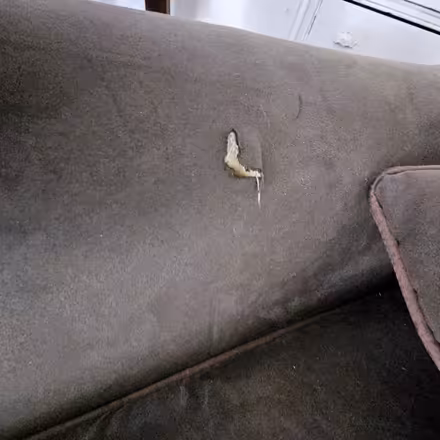 Photo of free 3pc Sectional Sofa (WC Borough) #3